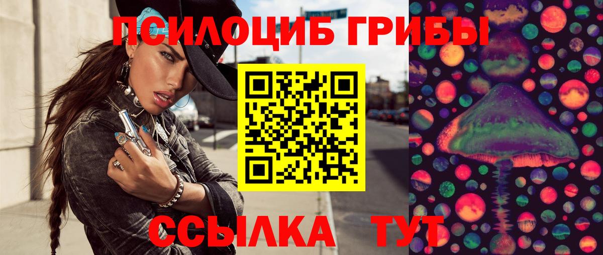 Псилоцибиновые грибы Psilocybine cubensis Чехов